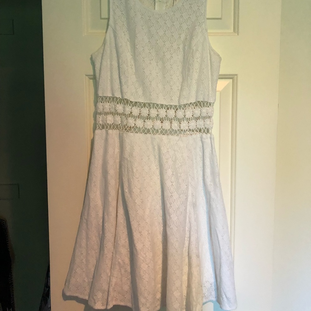 Free People Lace Skater Dress with Daisy Trim